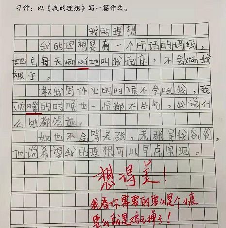 我的理想作文450字