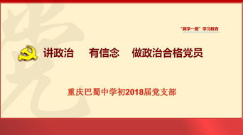 讲政治有信念方面表现，讲政治有信念讲担当有作为讲规矩有品行