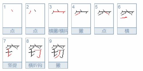 皮毛的皮的笔顺