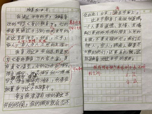 推荐一本书400字作文