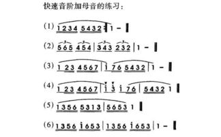 顿音和跳音的区别，顿音怎么弹