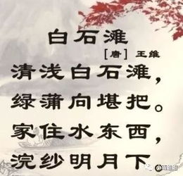 白石滩古诗带拼音，清浅白石滩古诗