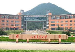 山东建筑大学主页网址，山东建筑大学首页