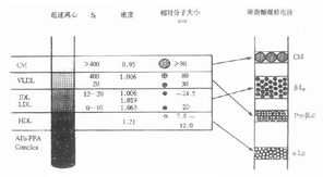 试述血浆脂蛋白的基本结构特征和主要功能。