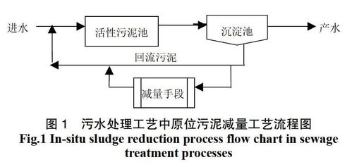 污泥是怎么产生的