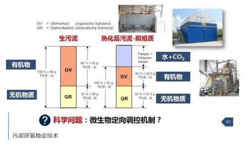 污水处理污泥成分有哪些，污水处理污泥成分含量