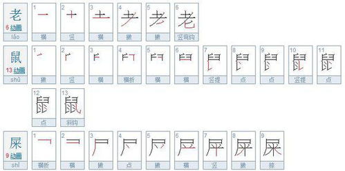 鼠字笔顺笔画，鼠字笔顺的正确写法