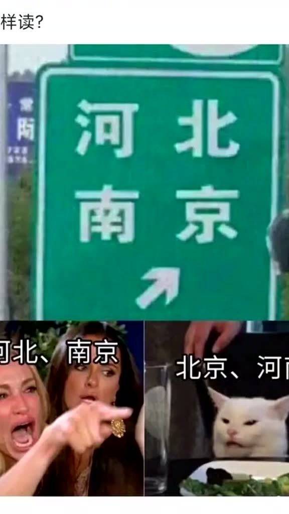 which什么意思