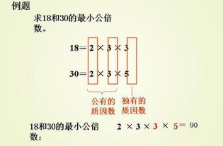 什么是互质数?