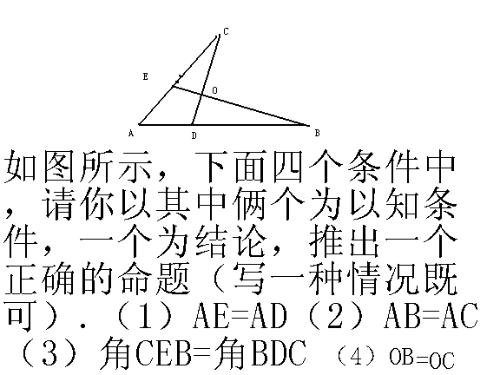 七年级数学小论文