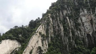 西岳是指什么山