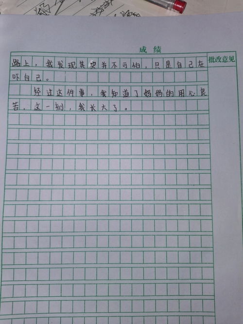 那一刻我长大了满分作文10篇