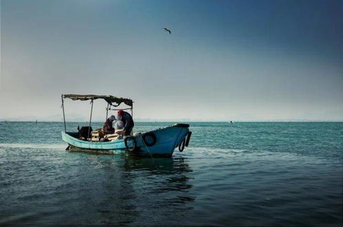 海人无家海里住 是什么意思