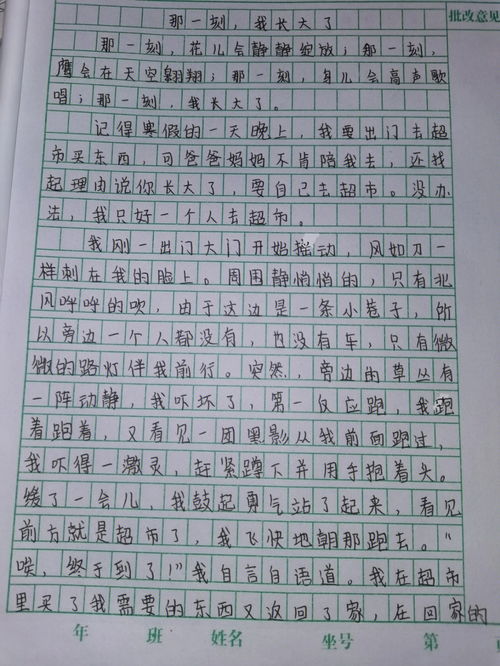 这一刻我长大了作文600 字，这一刻我长大了作文600字作