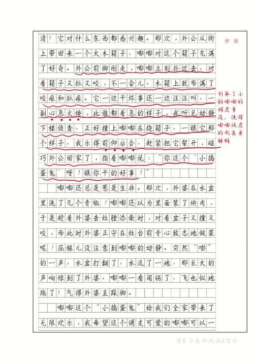 四年级我的动物朋友400字作文10篇