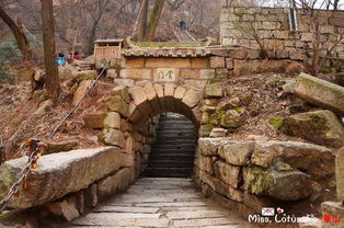 云门陈酿53度酱香型白酒多少钱，云门寺