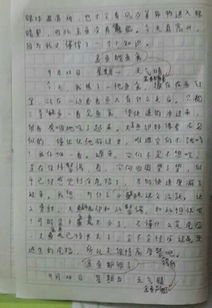 春天的作文350字左右四年级，春天的作文350字三年级下册