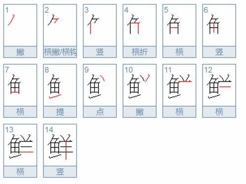 鲜的多音字组词，笼的多音字