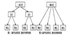 分权是什么意思