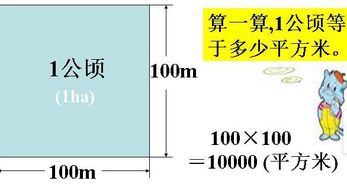 平方千米与公顷的换算