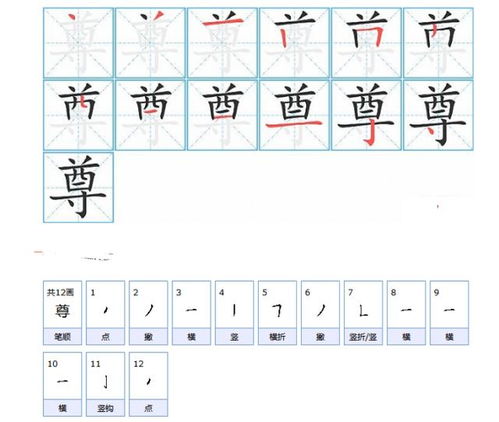 遵的笔画顺序怎么写的呀，遵字的笔画