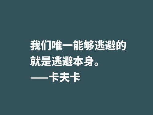 life是什么意思中文