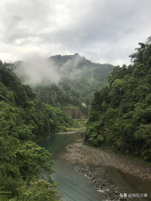 罗溪村位于哪个省哪个市