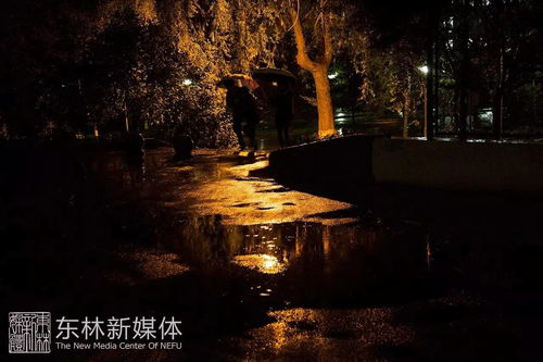 观雨和赏雨的区别?