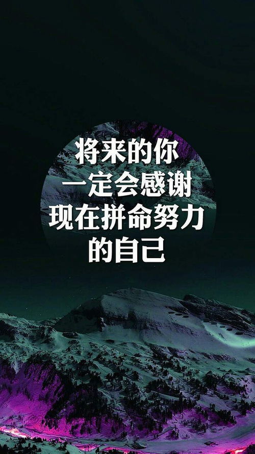 将来进行时，将来的意思