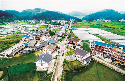 遵义市播州区马家湾中等职业学校，遵义市播州区南山中学复读班