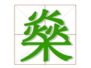 燊读什么字，燊读什么意思-虢的