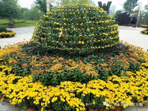 南京江宁湖熟菊花展坐公交怎么去南京江宁湖熟菊花园怎么去