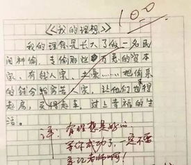 梅花作文500字托物言志，介绍一种事物梅花作文500字