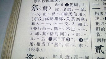 尔的多音字