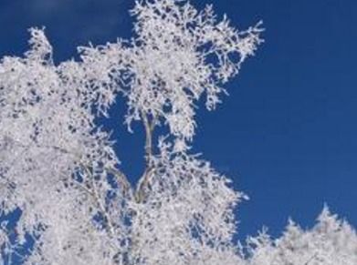 雪白造句一年级简单，雪白雪白造句