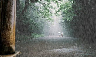 描写雨的比喻句