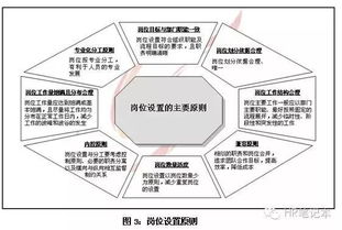 定岗是什么意思