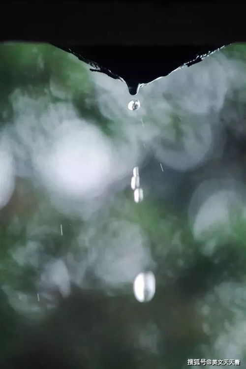 《春雨》孟浩然，好雨知时节的全诗是