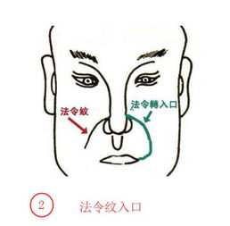 发号施令的意思打一生肖，发号施令的意思和造句