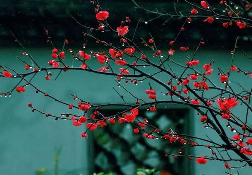 “好雨知时节”那首诗的意思?急!!!