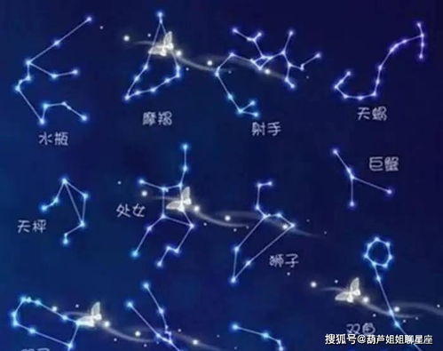 12月30号什么星座