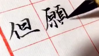 有手字的四字成语